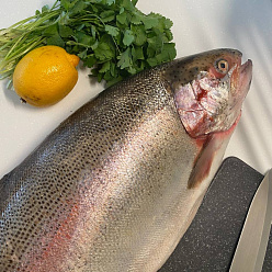 Форель НП Ладожская